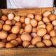 Brown crate of brown chicken eggs